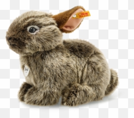 National Geographic Vula Volcano Rabbit Emoji,Sitting Rabbit Emoticon