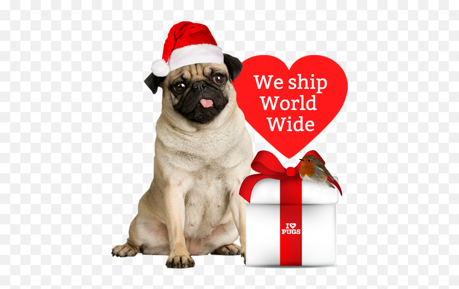 Download Hd I Love Pugs - Petflex No Chew Bandage 2u201c X 5 Emoji,Bandage Heart Emoji