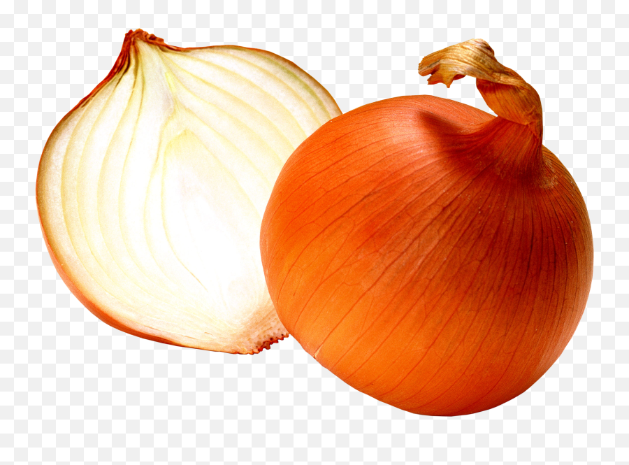 Garlic Clipart Shallot Garlic Shallot Transparent Free For - Onion Transparent Emoji,Garlic Bread Emoji