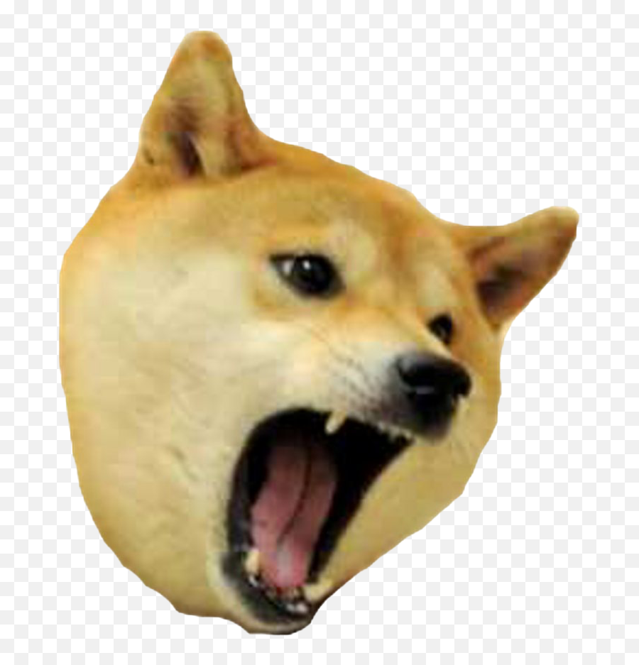 Doge Png Transparent Images Png All - Transparent Background Angry Doge Png Emoji,Doge Emoji Png