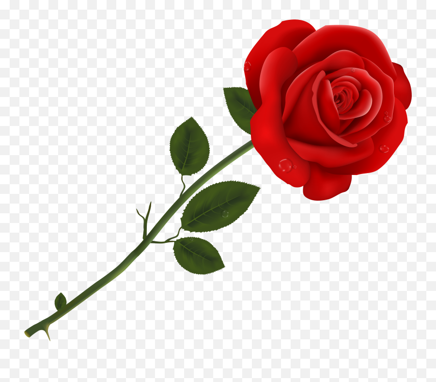 Red Rose Transparent Png Clipart Png - Transparent Background Red Rose Transparent Emoji,Red Rose Emoji