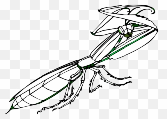 Praying Mantis Drawing Emoji,Mantis Drax Emotion
