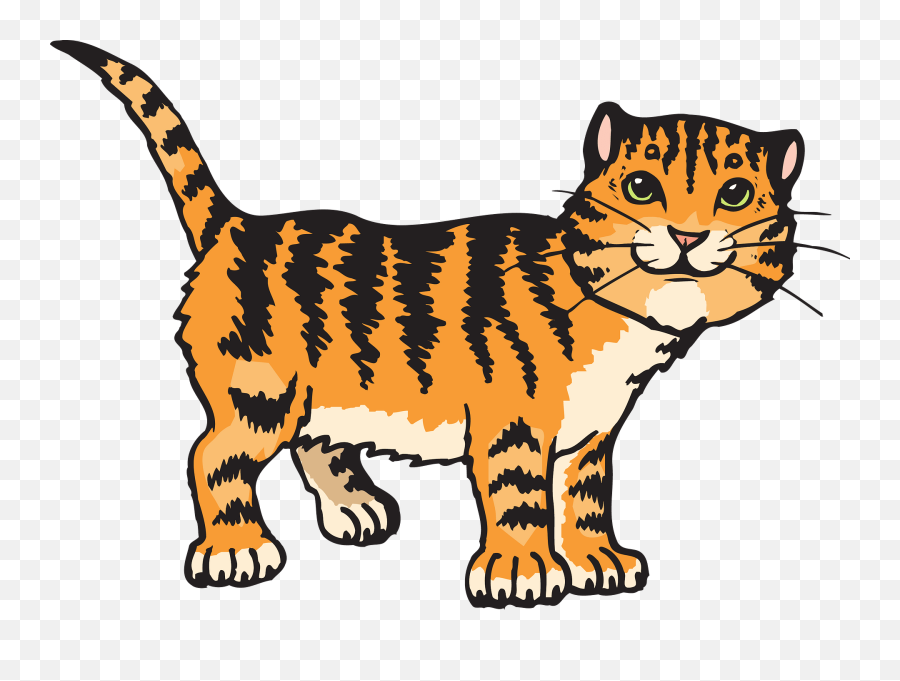 Free Photo Tiger Whiskers Animals Cat - Tiger Cat Clipart Emoji,Cat Tail Emotions