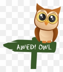 Owl - Cartoon Emoji,Funny Animals Emotions