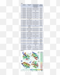 Thrb Thyroid Hormone Receptor Beta - Dot Emoji,Honda Civic Emotion 2006 Vissor