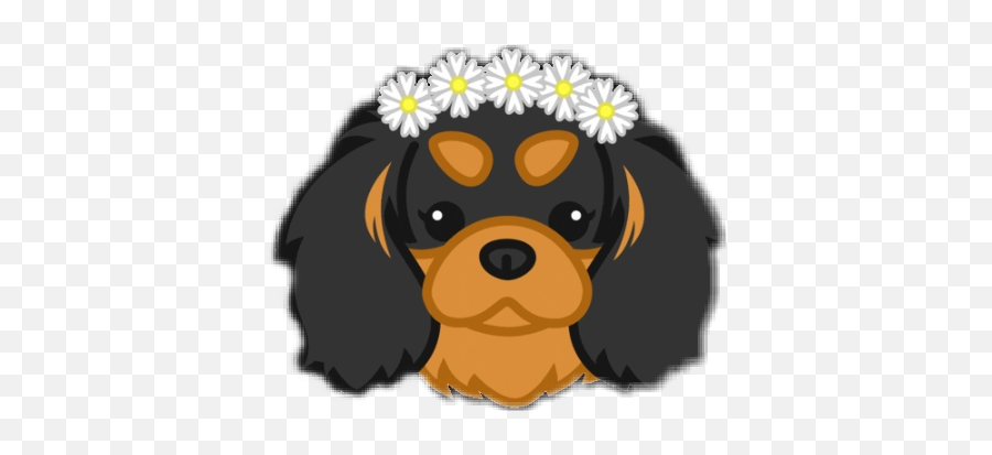 The Most Edited Doglover Picsart - Cavalier King Charles Spaniel Emoji,Cavalier King Charles Spaniel Sticker Emoji