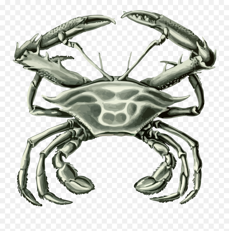 Drawing Of A Crab Free Image Download - Abstract Sea Crab Art Png Emoji,Gmail Crab Emoji