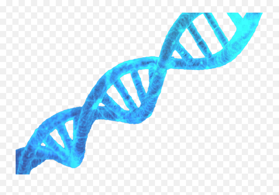 Emf U2013 An Invisible Threat Iam5d Emoji,Lolipop Emoticons Wonts Send Em