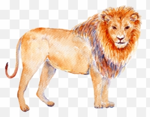 Astrology Is Sexy Emoji,Leo Zodiac Leaving You With Emotions