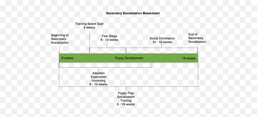 The Super Socialization Period - Understanding Puppy Horizontal Emoji,Husky Stages Of Emotion