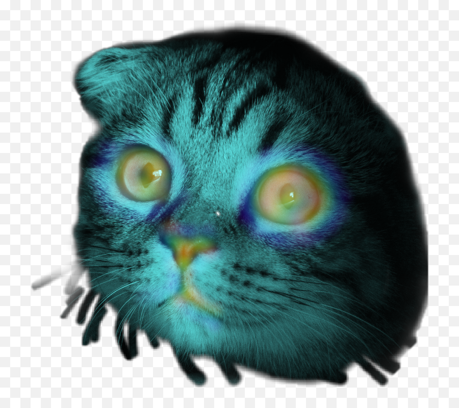 Cat Rainbow Emoji Sticker By Creepguy980 - Soft,Show Images Of Green Cat Emojis And Their Meanings