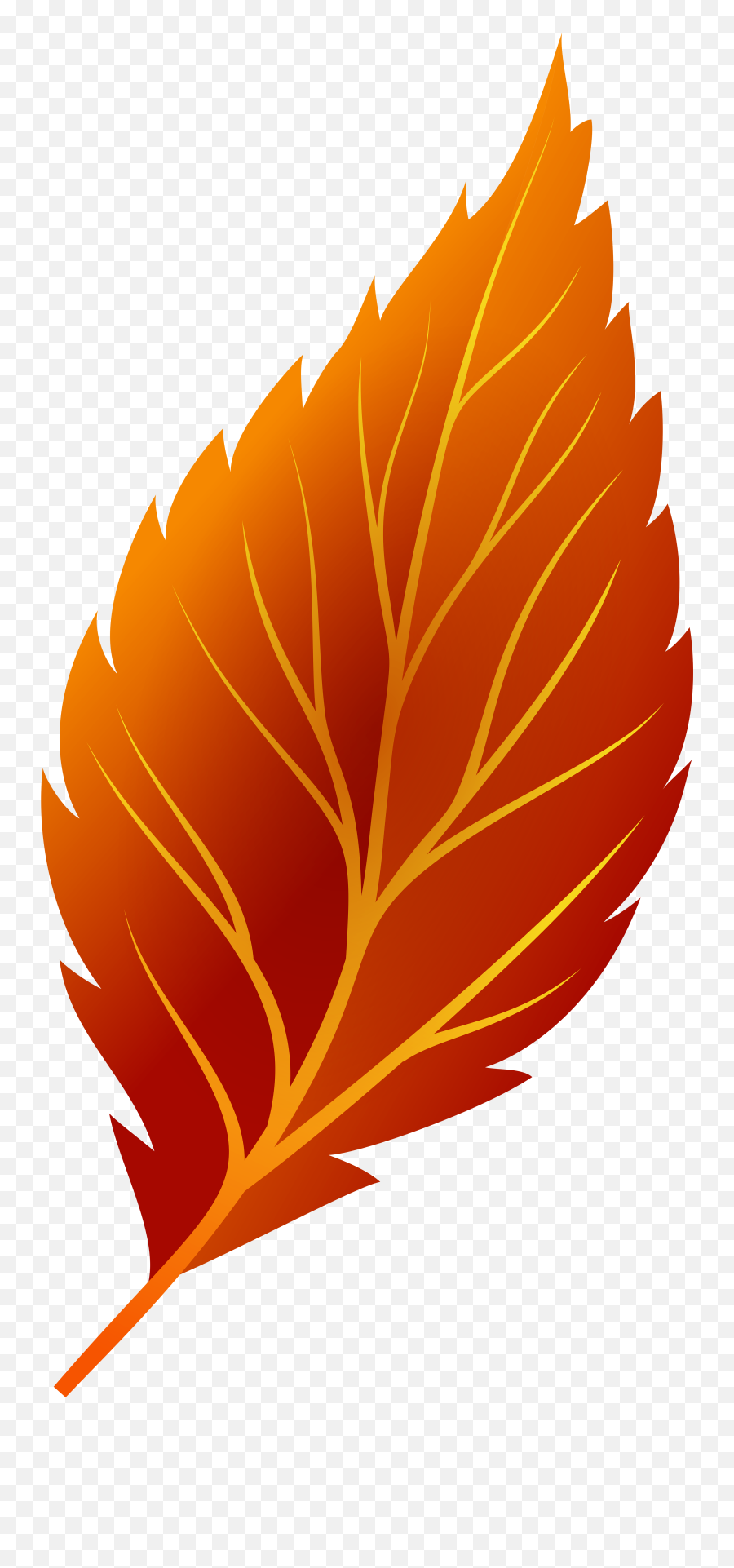 Free Transparent Leaf Png Download - Autumn Leaf Clipart Png Emoji,Sun Leaves Emoji