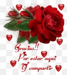 Rosas De Buenas Noches Emoji,Emojis Cristianos Q Se Mueven