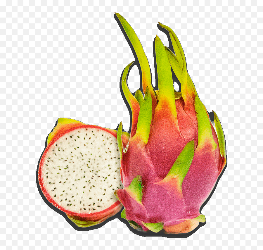 Dragon Fruit Pictures Free Dragon Fruit Clipart - Pitaya Hylocereus Megalanthus Emoji,Peach Emoji Tattoo