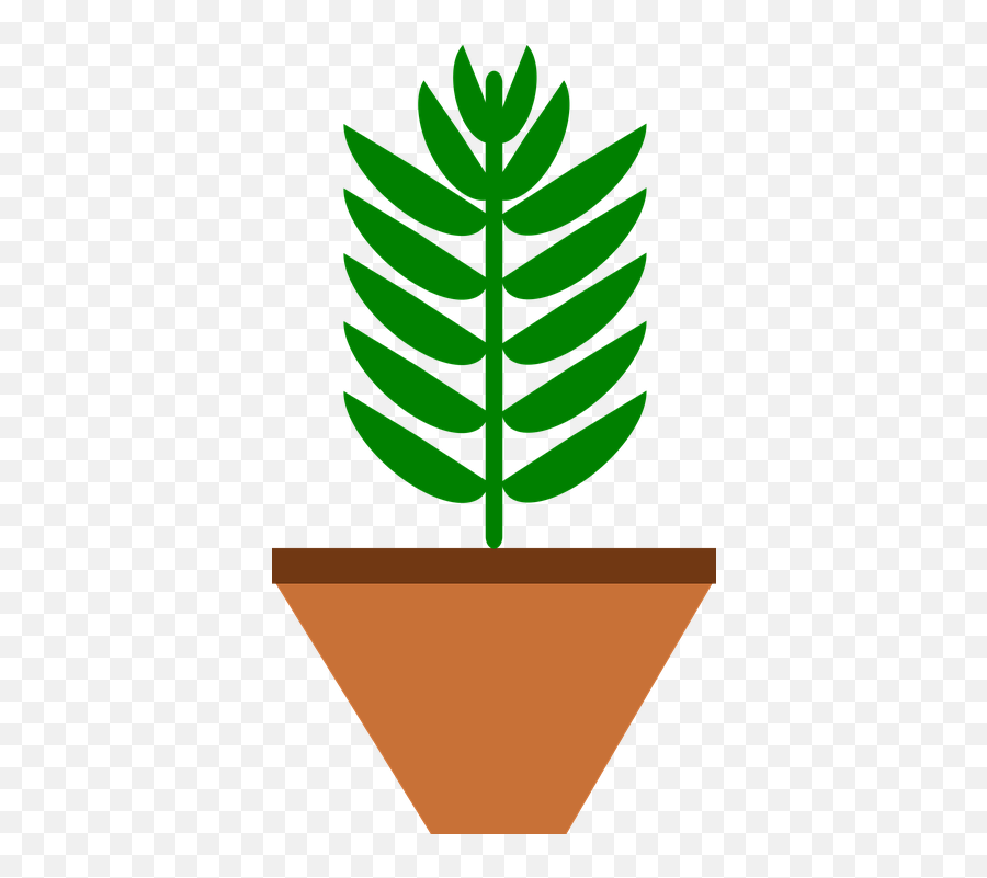 Free Photo Pot Green Plant Leaves Leaf Brown Home Color Emoji,Emoji Pots
