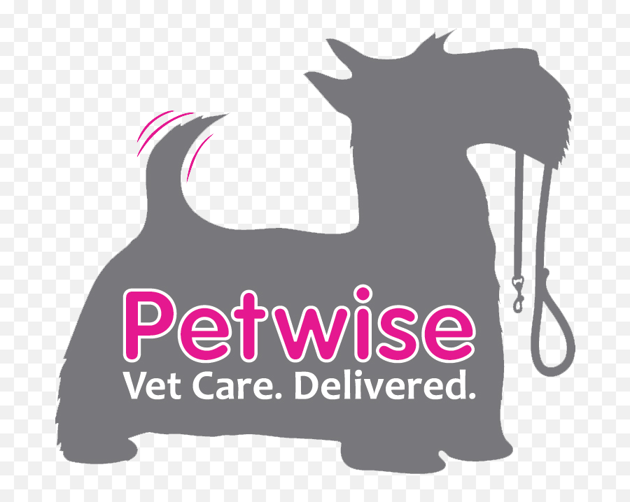 Helpful Appointment Tips Petwise Vet Care Emoji,Emotion Detecors