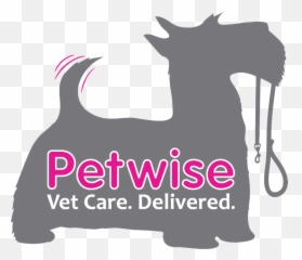 Helpful Appointment Tips Petwise Vet Care Emoji,Emotion Detecors