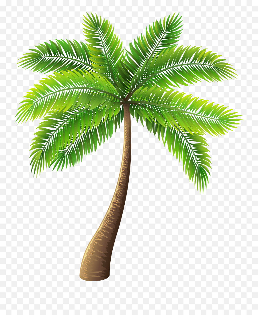 Download Palm Tree Png Clip Art - Transparent Background Palm Tree Png Emoji,Palm Tree Emoji