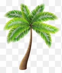 Download Palm Tree Png Clip Art - Transparent Background Palm Tree Png Emoji,Palm Tree Emoji
