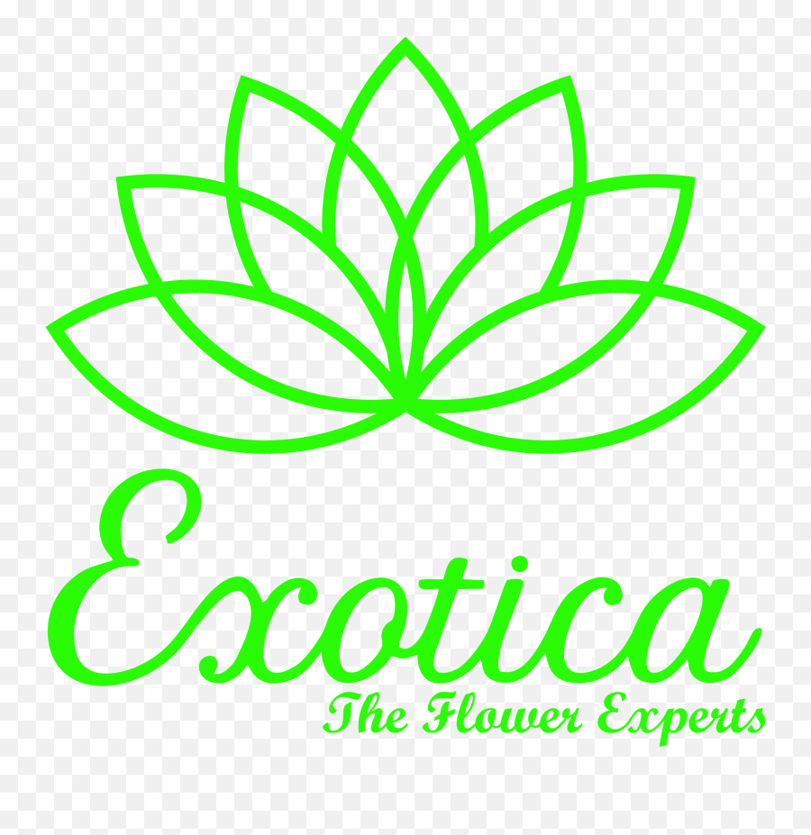 Searching U0027flowers Triggers Happy Emotionsu0027 Exotica - The International Society For Krishna Consciousness Emoji,Latest Emotions