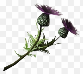 The Most Edited - Skyrim Thistle Emoji,Thistle Emoji