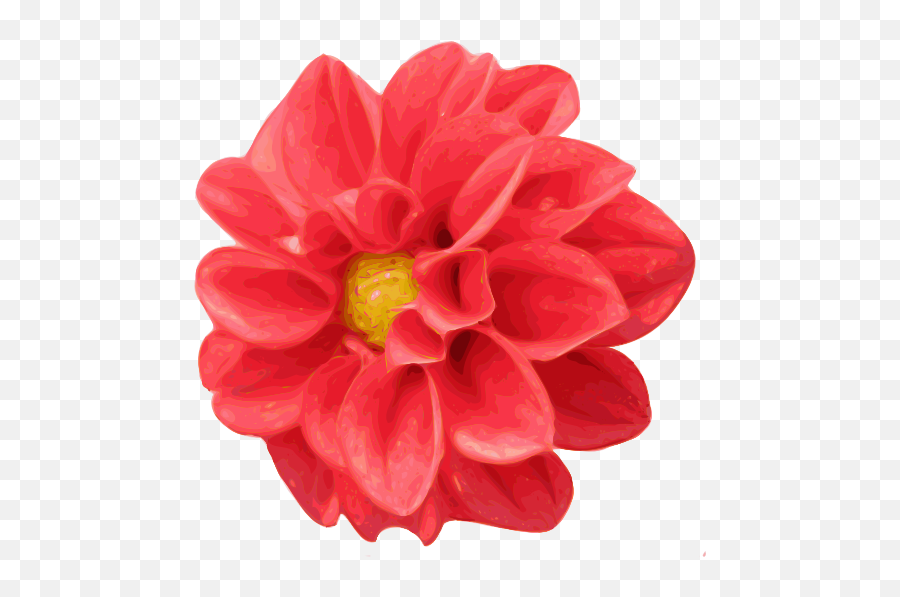 Dahlia Clipart - Flower Clipart Realistic Emoji,B3c Emoticon