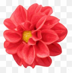 Dahlia Clipart - Flower Clipart Realistic Emoji,B3c Emoticon
