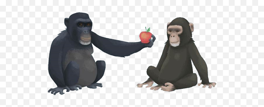 The Brights Net - Infographics About Morality Emoji,Different Chimpanzee Emotions