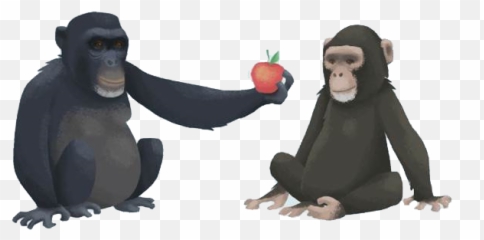 The Brights Net - Infographics About Morality Emoji,Different Chimpanzee Emotions