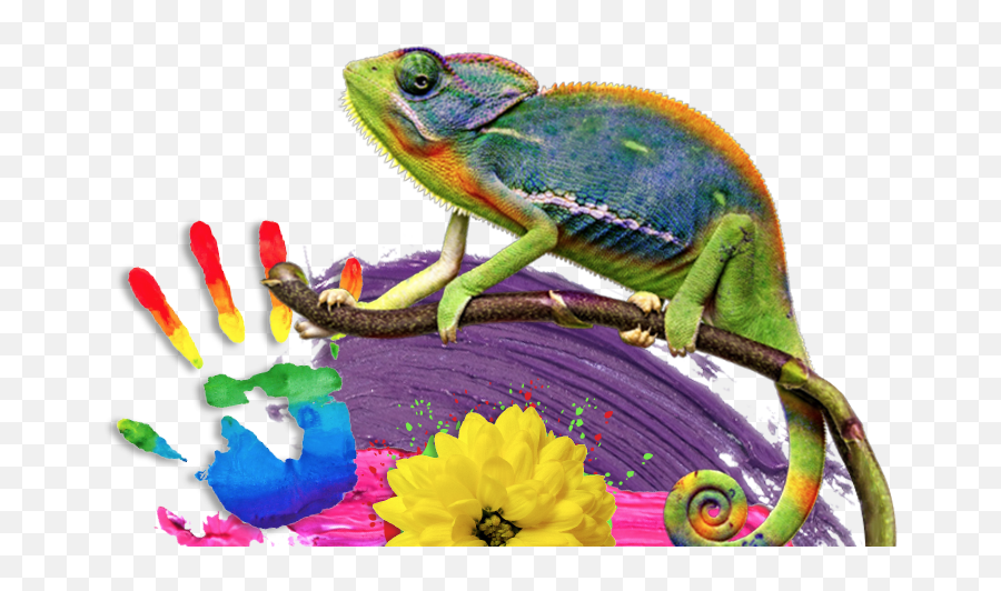 How Many Colours In A Rainbow - Common Chameleon Emoji,Chameleons Color Emotions