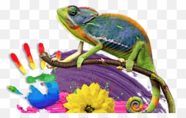 How Many Colours In A Rainbow - Common Chameleon Emoji,Chameleons Color Emotions