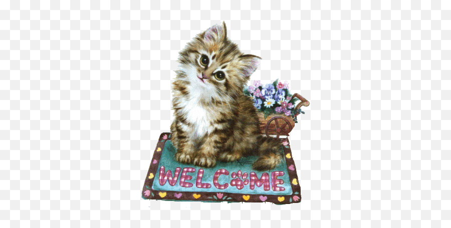 170 Welcome Ideas Welcome Quotes Welcome Images Welcome - Hareketli Kedi Resmi Emoji,