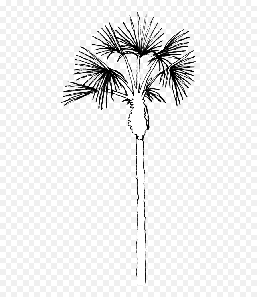 Home U2013 En U2013 Elos Do Cerrado Emoji,Skinny Emoji Coloring Pages Home U2013 En U2013 Elos Do Cerrado Emoji,Skinny Emoji Coloring Pages