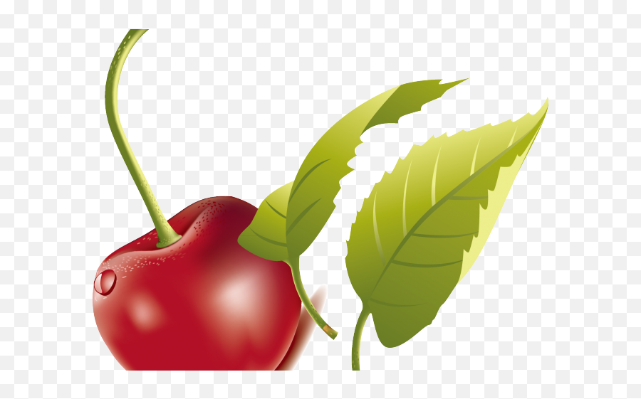 Green Leaves Clipart Cherry Leaf - Fresh Emoji,Cherry Emoji Png