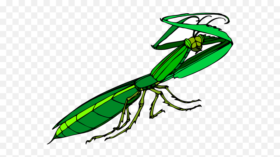 Use Cartoon Praying Mantis Icon Png - Praying Mantis Clipart Png Emoji,Mantis Emoji