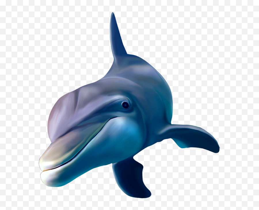 Dolphin Terrieasterly Sticker - Dolphin Transparent Background Swimming Emoji,3 Dolphin Emoji