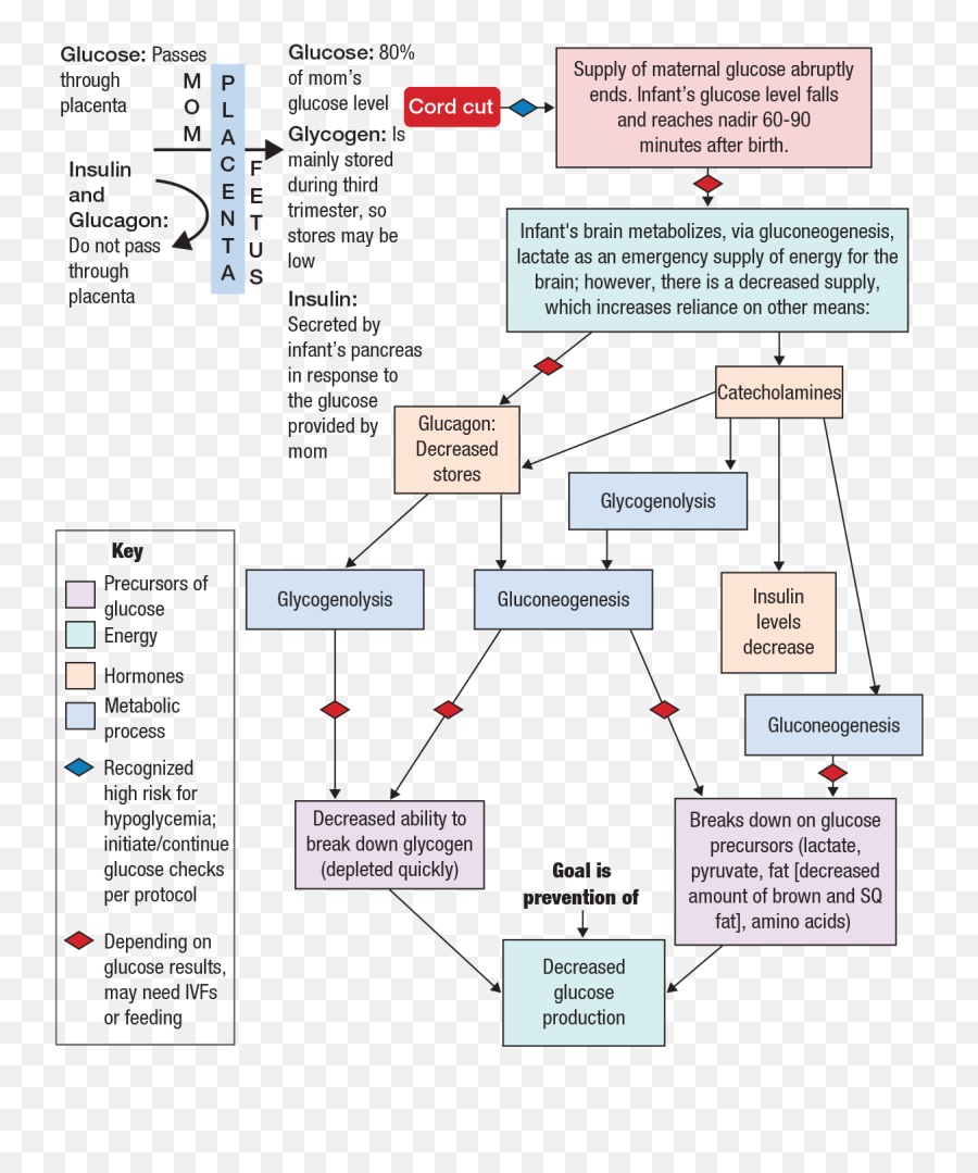 The Metabolic And Endocrine System Springer Publishing - Vertical Emoji,Emotions Influecne Autonomic Resctions Primarlt Fhrough Thevintsgration In The