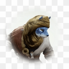 Bdo Aniki Knowledge Database Aniki Guide Bddatabasenet - Bears Emoji,Bdo Ranger Emoticons