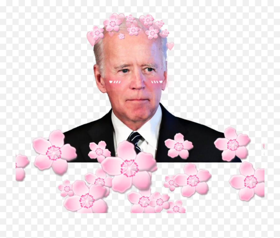 Biden Vote Dumptrump Trump Sticker - Sumberejo Emoji,Dump Trump Emoji