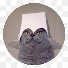 Covirusio - Virus Battle Game British Shorthair Emoji,How To Put Emojis In Your Name Agario Pc