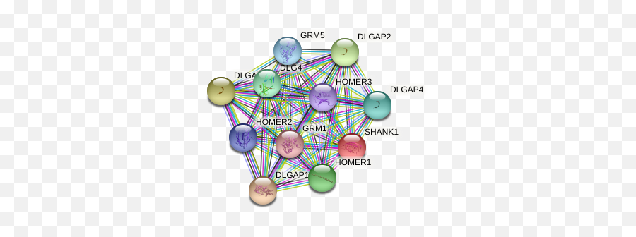 Shank1 Protein Human - String Interaction Network Dot Emoji,Text Insertions To Show Emotion