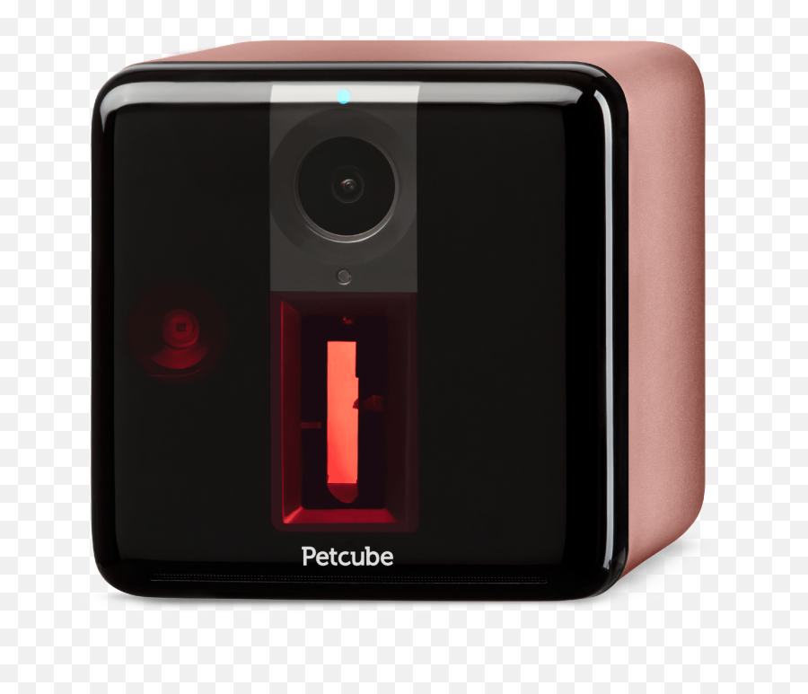 Petcube Play Pet Camera With Interactive Laser Toy - Rose Gold Emoji,Rose Emoticon Png