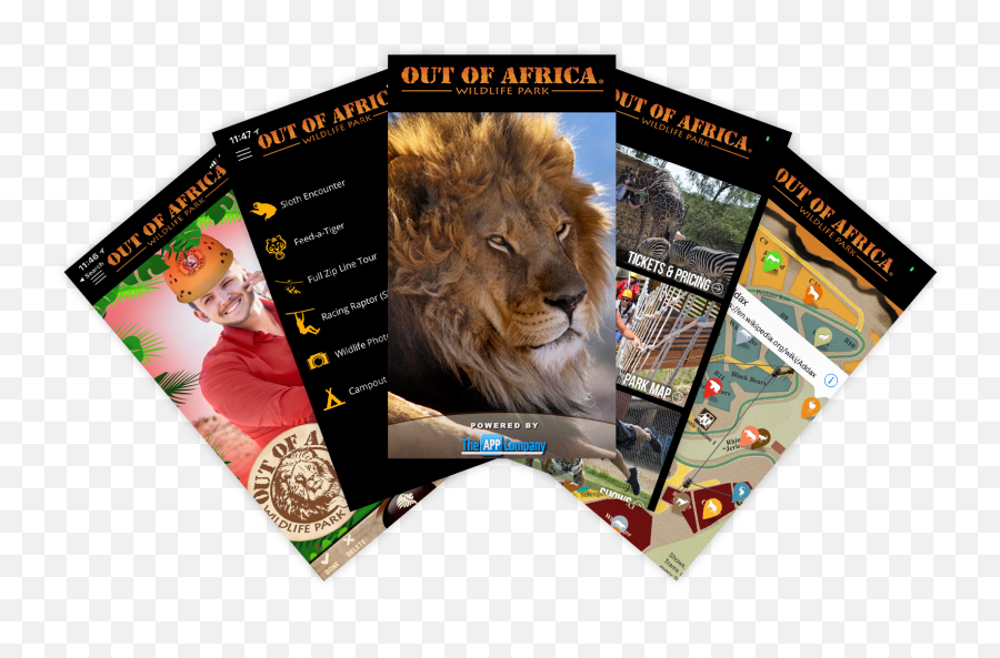 Out Of Africa Park U0026 Safari - The App Company Emoji,Cricet Emoji