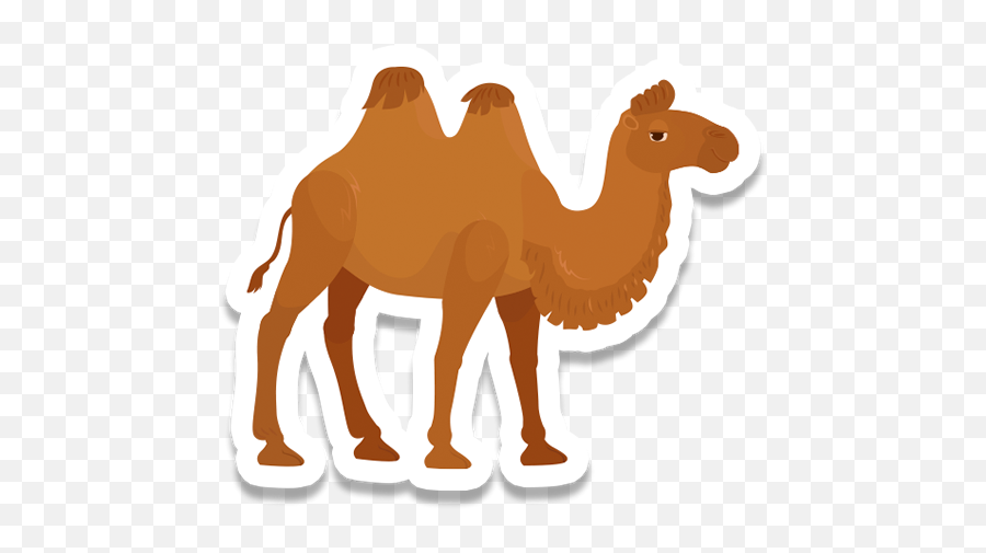 Finders Seekers Junior Explorers U2014 A Thrilling Adventure Emoji,Camel Emoji Copy