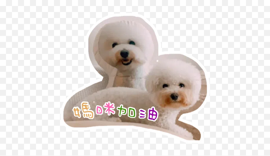 Trending Stickers For Whatsapp Page 283 - Stickers Cloud Dog Toy Emoji,Yoyo And Cici Emoticon