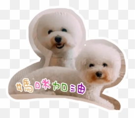 Trending Stickers For Whatsapp Page 283 - Stickers Cloud Dog Toy Emoji,Yoyo And Cici Emoticon