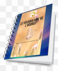 Blog - Horizontal Emoji,Atelier Creatif Realiser Visage Emotions Avec Les Enfants