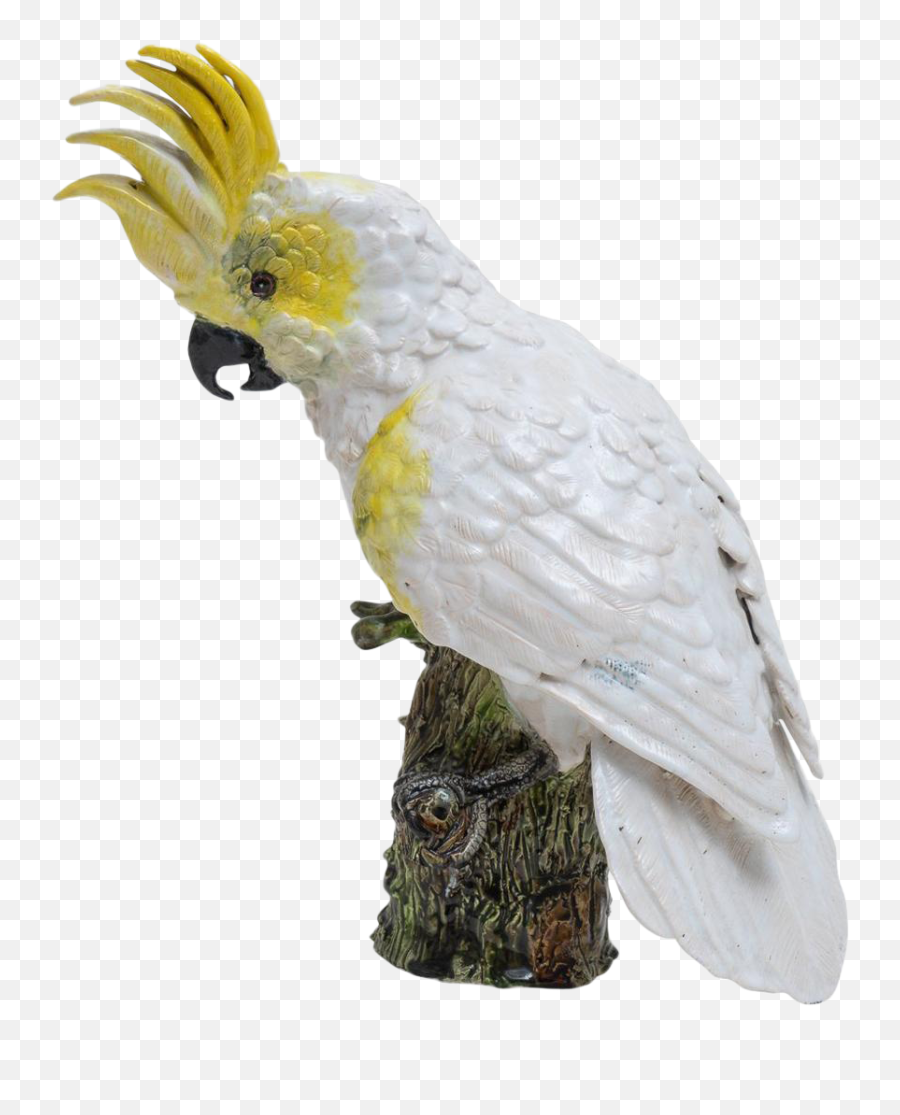 Animal Mounts Home U0026 Living Painted Feather Handpainted - Cockatoo Emoji,Cockatoo Facebook Emoji