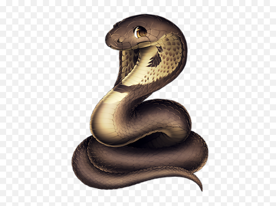 Vector Cobra Snake Png Downloa - Yourpngcom Emoji,Facebook Snake Emoji Vector