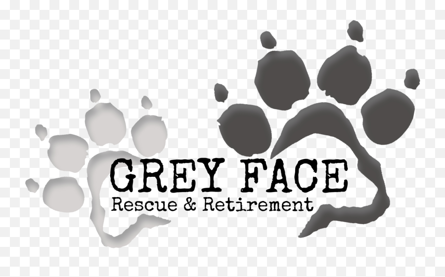 Surrender Your Senior U2014 Grey Face Rescue U0026 Retirement Emoji,Nmber Text Emoticon Corgi